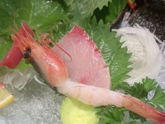 -鮨桐日本料理(望京店)