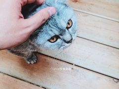 景观位-拾壹cafe·工作室