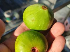 -物美大卖场(玉蜓桥店)