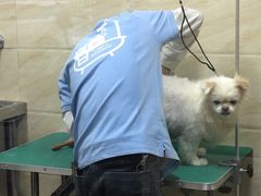 -安安宠医·安宠宠物医院