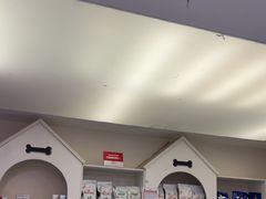 -特一安24小时宠物医院·骨科·中兽医
