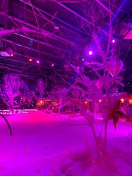 -圣名游乐城冰雪大世界