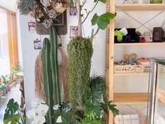 -AHAVA·Fang Baking Studio