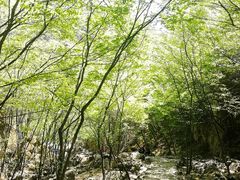 -十渡东湖港风景区