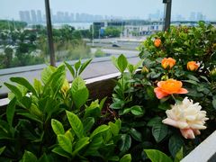 -HELLO MUSAE 拾光缪斯餐厅·纯正希腊风味(苏州中心店)