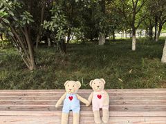 -西安外国语大学(长安校区)