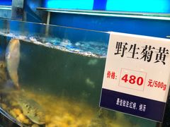 -莆鑫海鲜城(浏河店)