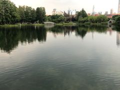 -四海公园(南山区)