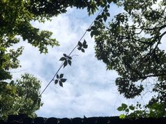 -富春桃源风景区