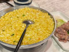 -丁老爷子苏香圆