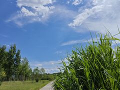-野鸭湖国家湿地公园