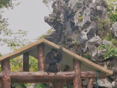-南宁市动物园