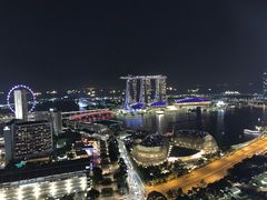 -新加坡瑞士史丹福酒店