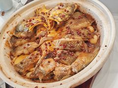 红胡椒焗大黄鱼-便宜坊烤鸭店(玉蜓桥店)