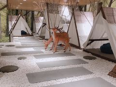 -东方之珠洗浴休闲广场(南开店)