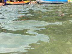 -青城两河漂流