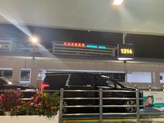 -上海浦东国际机场T1航站楼-P1停车场