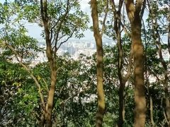 -阳台山森林公园