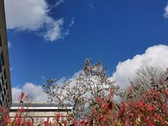 -巴斯修道院教堂