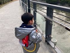 -苏州河梦清园环保主题公园