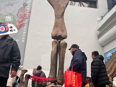 -自贡恐龙博物馆