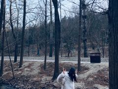 -白水寺森林公园