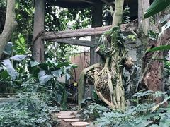 -南山植物园
