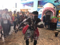 -芜湖新华联大白鲸海洋公园