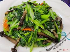 -老苏扬饭店
