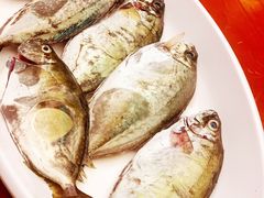 -老廣食堂(区庄店)