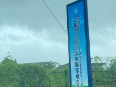 -上海滨江森林公园