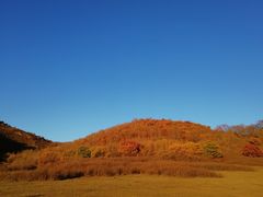 -木兰围场