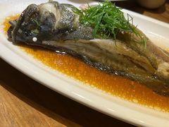 沸腾龙纹斑-老宁波1381餐厅(宏泰广场店)