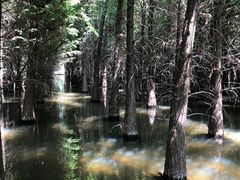 -捞渔河湿地公园