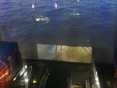 -大连圣亚海洋世界