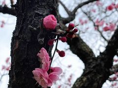 -百盛烧烤龙虾小酒馆(文富北路店)
