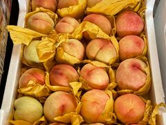 -南汇新场正宗水蜜桃采摘