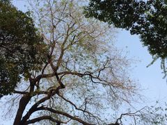 -百年尹氏汤包(湖南路狮子桥店)