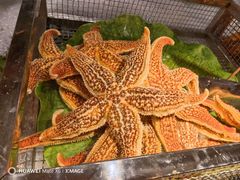 -奔海甄选·活鲜刺身铁板烧自助(太原里店)
