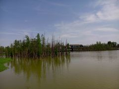 -白鹭湾湿地公园