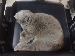 -蚂蚁造型沙龙