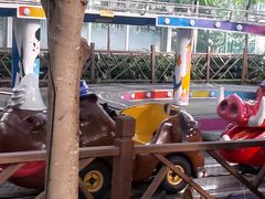 -南宫五洲植物乐园