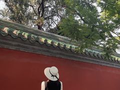 -北京国子监胡同