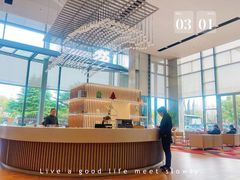 -奔驰上海利星(七宝店)