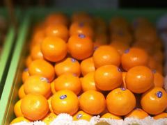 澳桔-地利生鲜(甘井子街店)