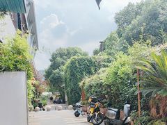 -C31地窖餐厅(黑龙江北路店)