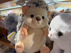 -Olé精品超市(广州太古汇店)