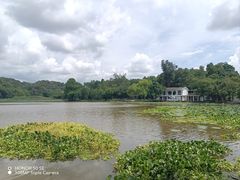 -南宁良凤江国家森林公园