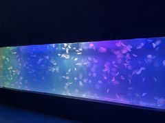 -左海海底世界