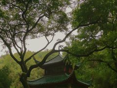 -岳麓山风景名胜区